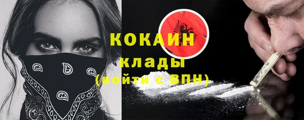 ПСИЛОЦИБИНОВЫЕ ГРИБЫ Верея