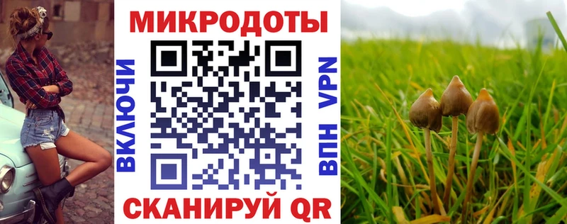 Галлюциногенные грибы ЛСД  закладка  кракен как войти  Копейск 